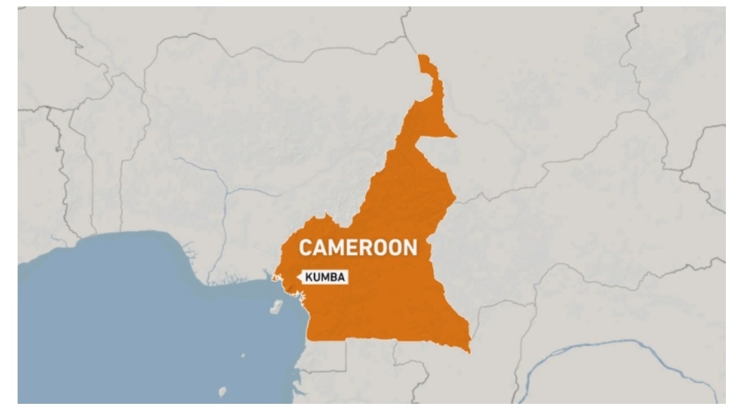 Attackers storm Cameroon school, kill several children